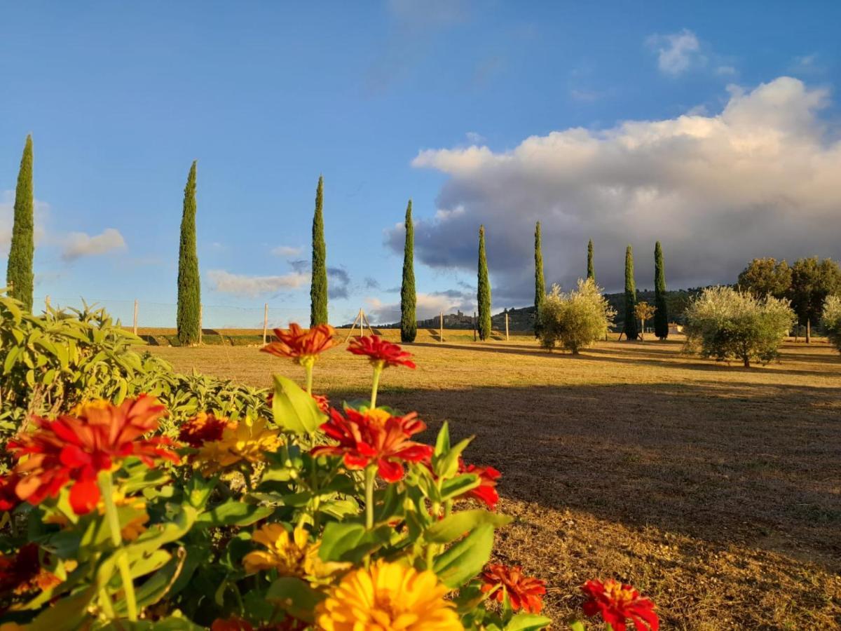 Podere Molinaccio Panicale Esterno foto