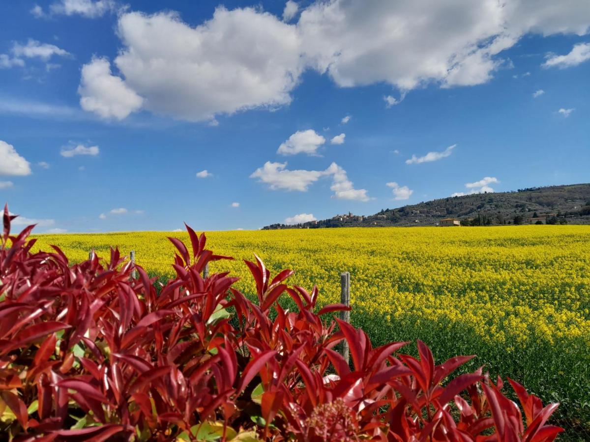 Podere Molinaccio Panicale Esterno foto