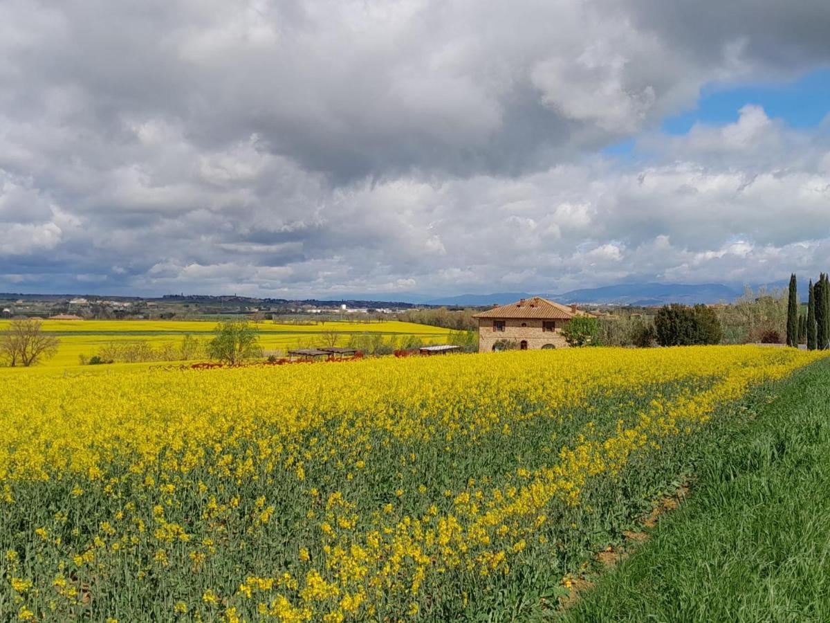 Podere Molinaccio Panicale Esterno foto