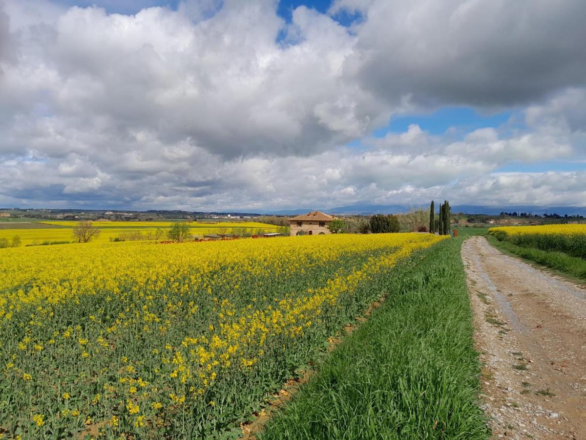 Podere Molinaccio Panicale Esterno foto