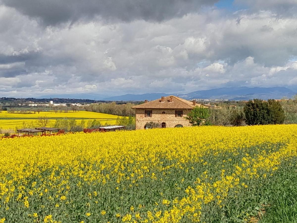 Podere Molinaccio Panicale Esterno foto