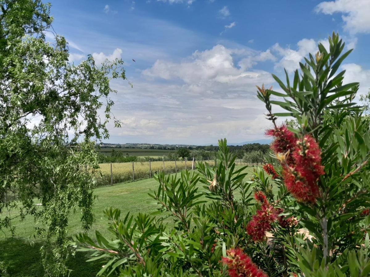 Podere Molinaccio Panicale Esterno foto