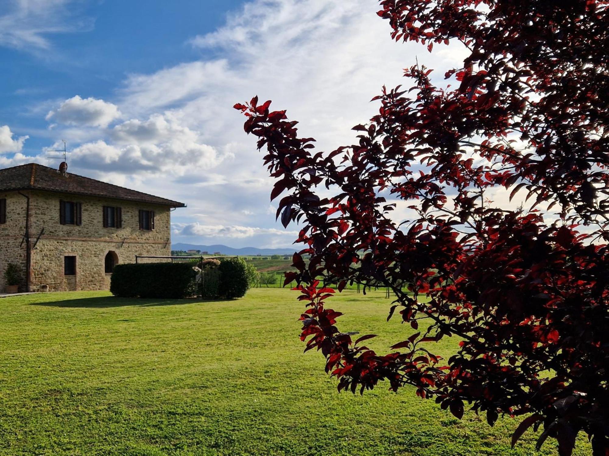 Podere Molinaccio Panicale Esterno foto