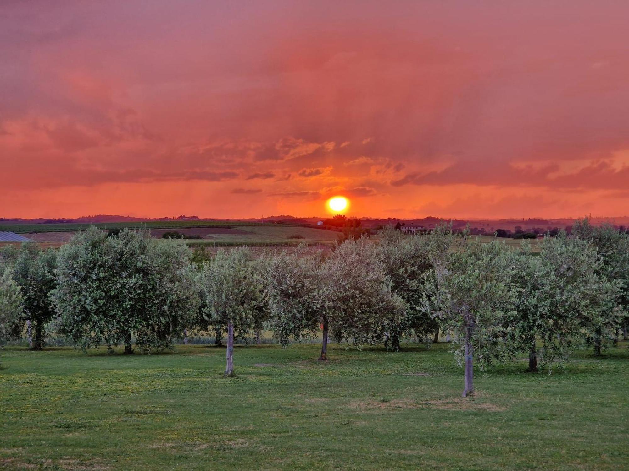 Podere Molinaccio Panicale Esterno foto