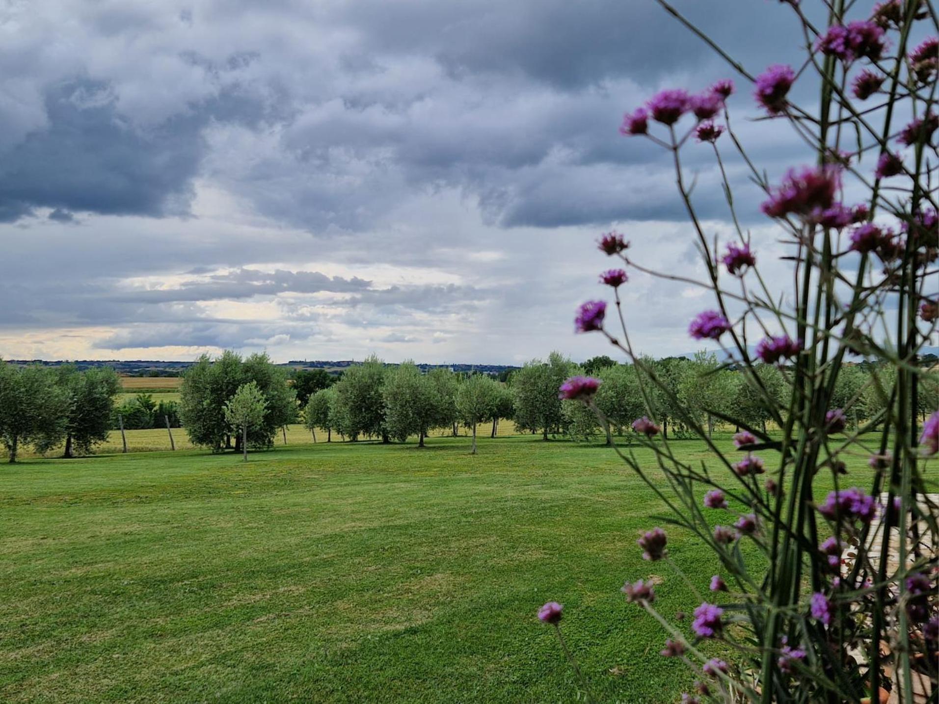 Podere Molinaccio Panicale Esterno foto