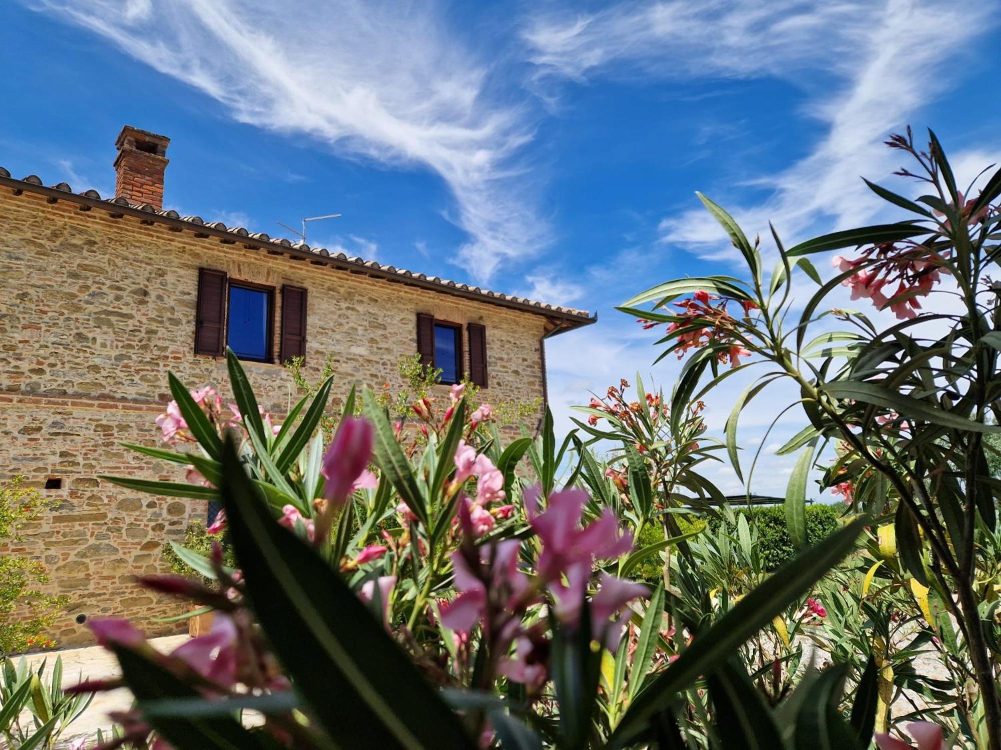 Podere Molinaccio Panicale Esterno foto